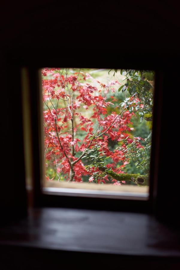 Oldbutnew 蔵 Apartment Hara  Luaran gambar