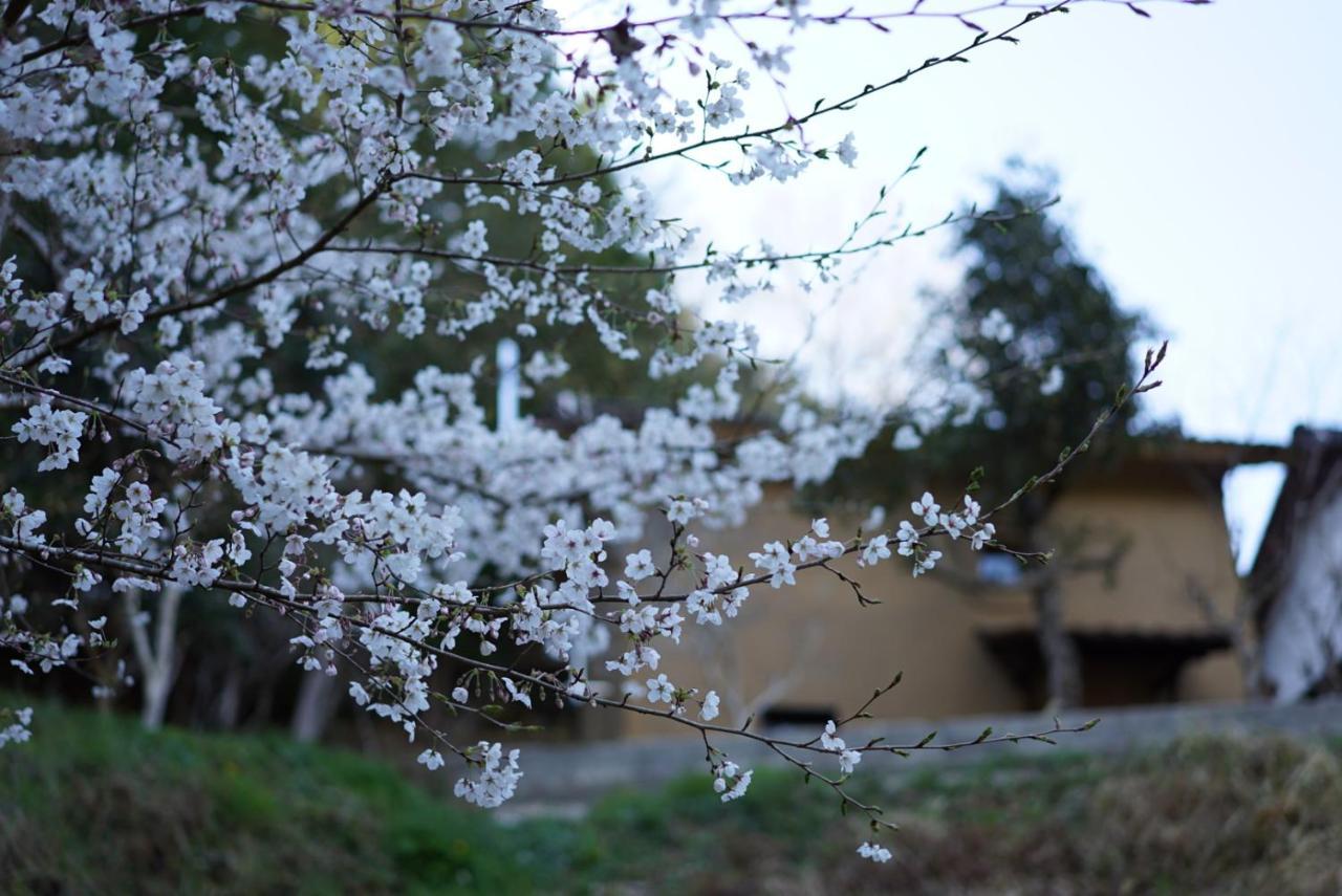 Oldbutnew 蔵 Apartment Hara  Luaran gambar